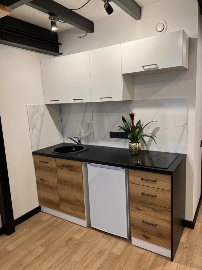 Respublikos Loft Forentinn Panevėžys Exteriér fotografie